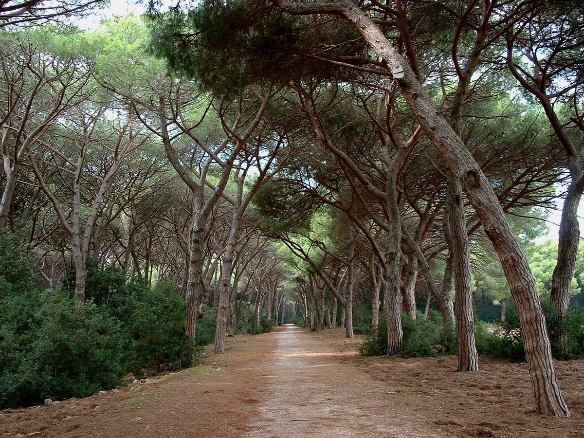 Mini hotel Orbetello Kültér fotó